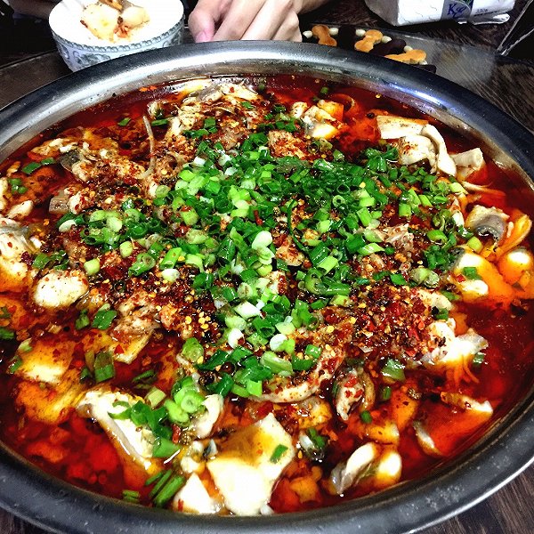 包菜饺子馅的做法大全：解锁美味新境界